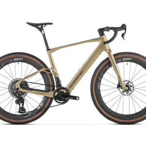 Dusty RR 2027 Goud